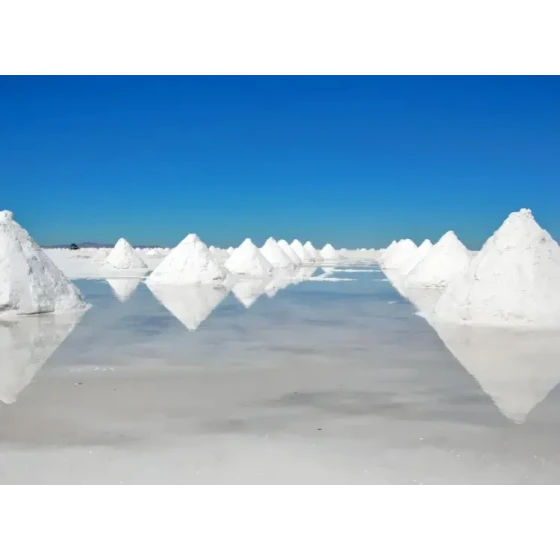 Extracción de litio por flotación a partir de salmueras de lagos salados