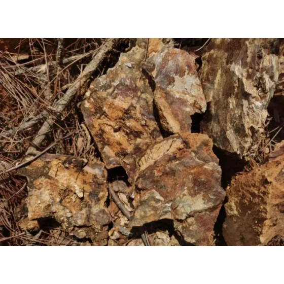 Prueba de procesamiento de mineral de oro oxidado