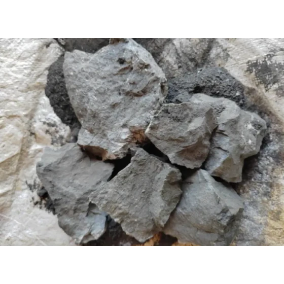 Prueba de procesamiento mineral de mineral de oro con alto contenido de azufre