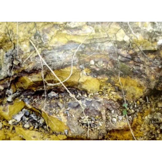 Prueba del proceso de lixiviación de minerales asociados refractarios