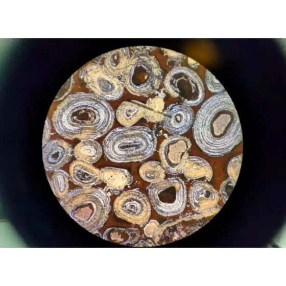 Ensayo de desfosforación y desilicación de hematites oolítica