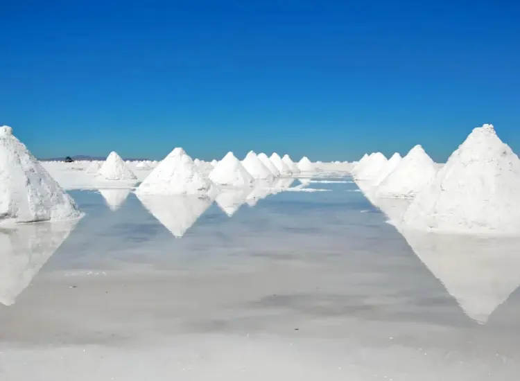 Extracción de litio por flotación a partir de salmueras de lagos salados