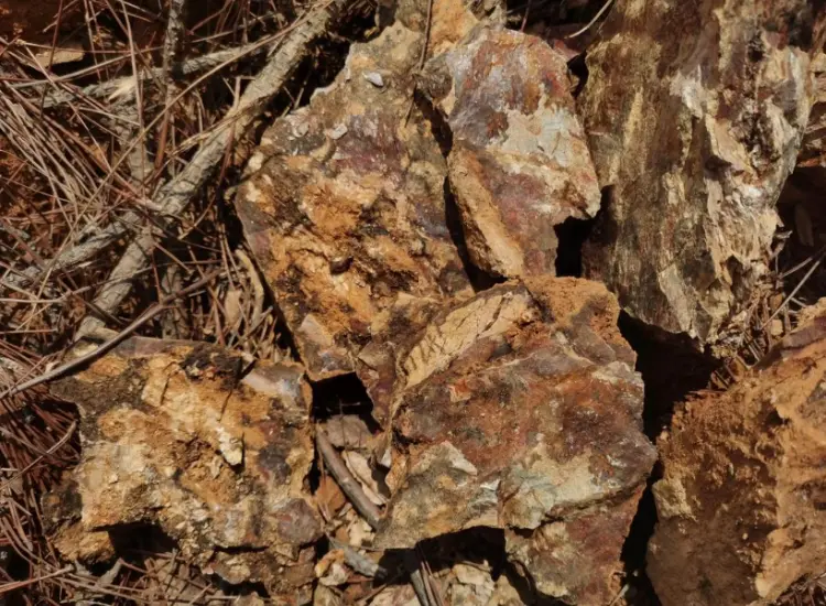 Prueba de procesamiento de mineral de oro oxidado