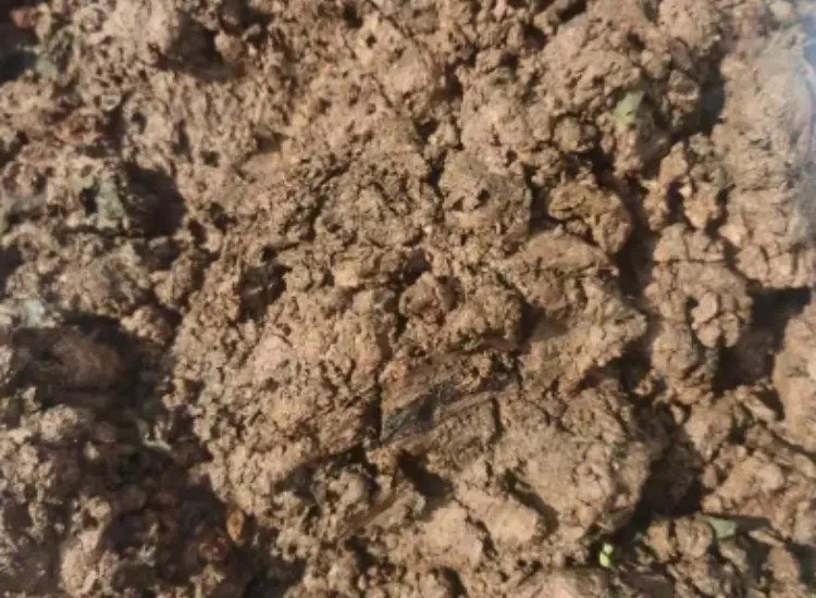 Ensayo de beneficio de limos de minerales de óxidos metálicos