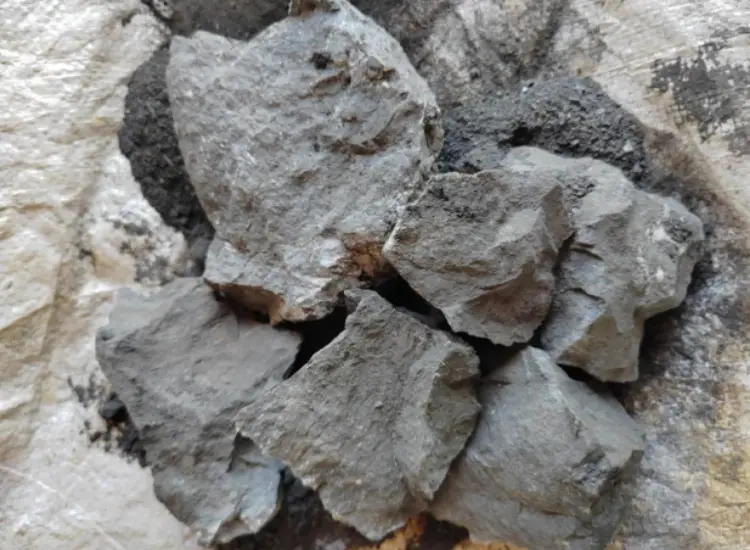 Prueba de procesamiento mineral de mineral de oro con alto contenido de azufre