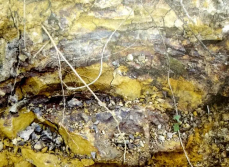 Prueba del proceso de lixiviación de minerales asociados refractarios