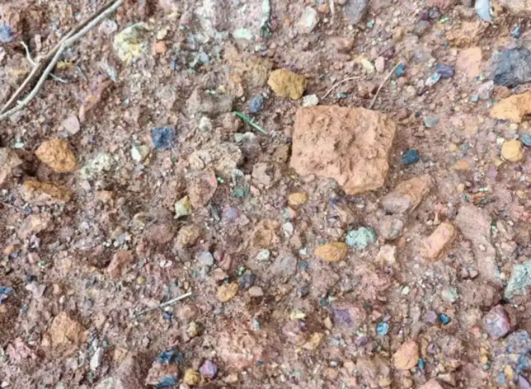 Ensayo de tratamiento mineral de mineral de óxido de plomo-zinc