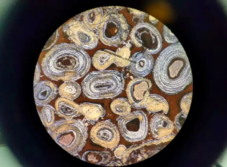 Ensayo de desfosforación y desilicación de hematites oolítica